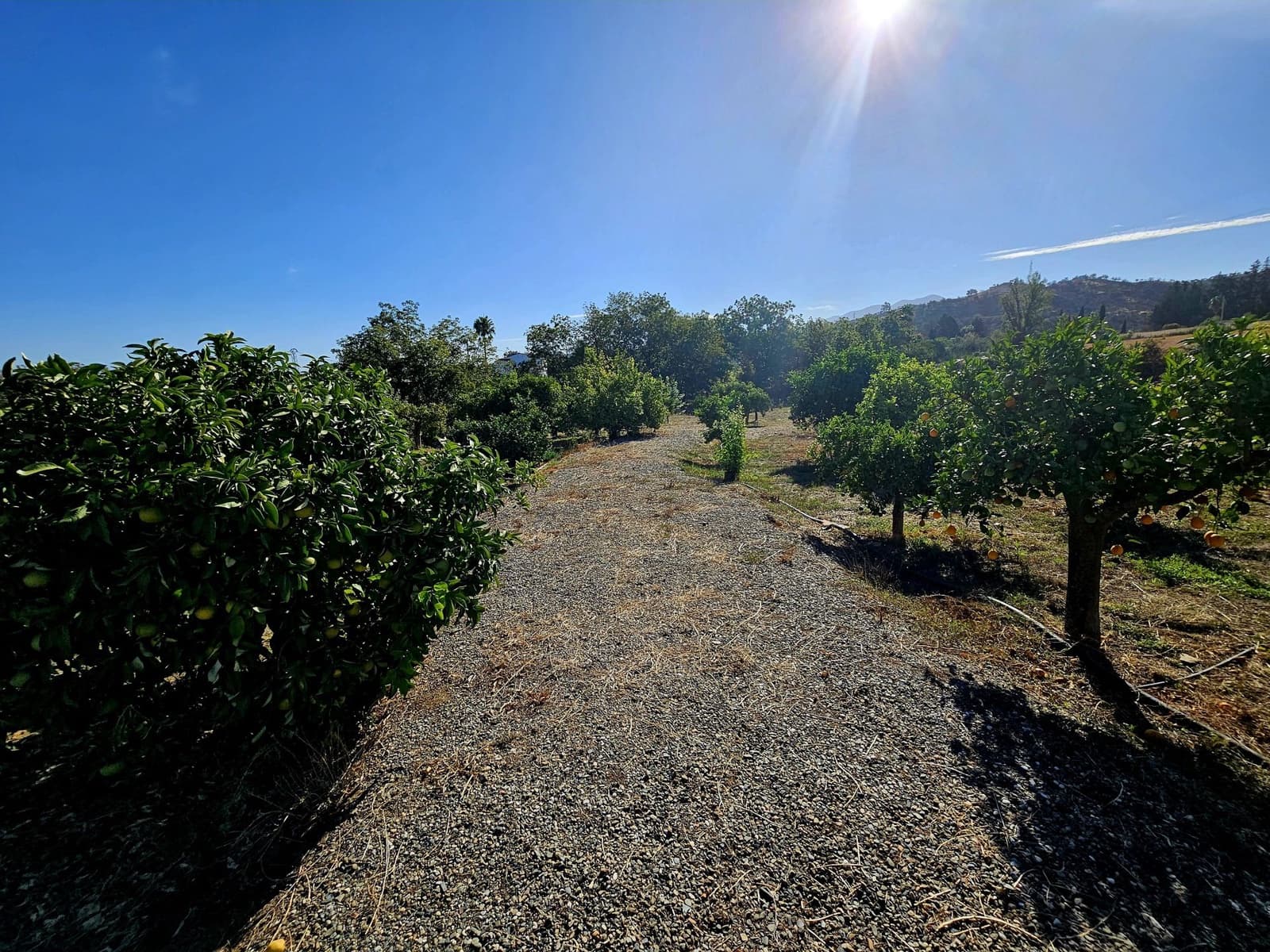 3 soveværelse Finca/Landehus til salg i Coin - € 360.000 (Ref: 8607375)