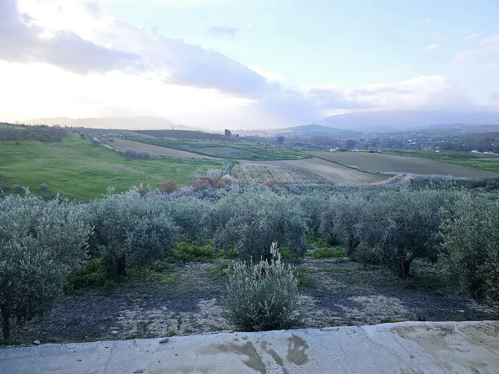 4 sovrum Finca/Hus på landet till salu i Cartama - 1 100 000 € (Ref: 8736543)