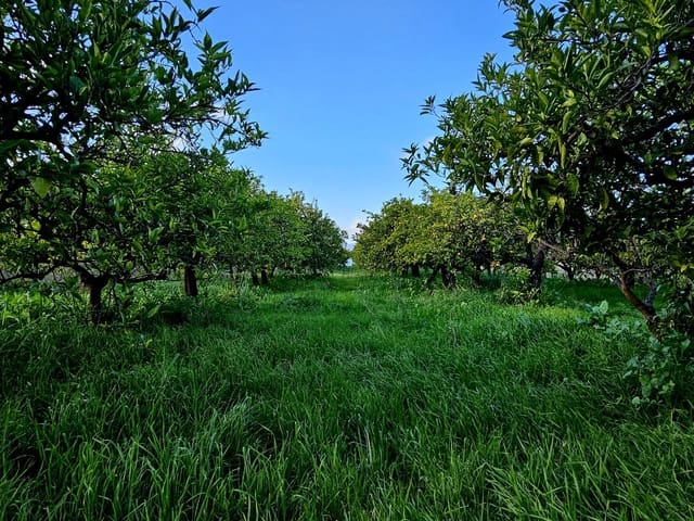 4 sovrum Finca/Hus på landet till salu i Cártama - 1 100 000 € (Ref: 8736543)