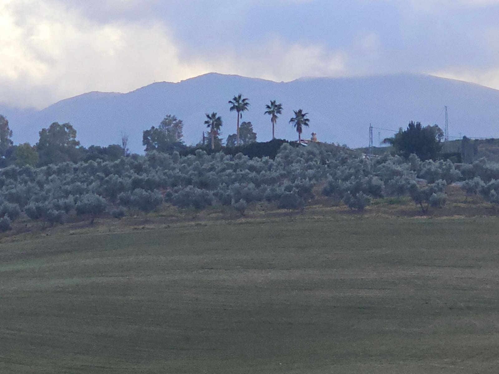 4 sovrum Finca/Hus på landet till salu i Cartama - 1 100 000 € (Ref: 8736543)