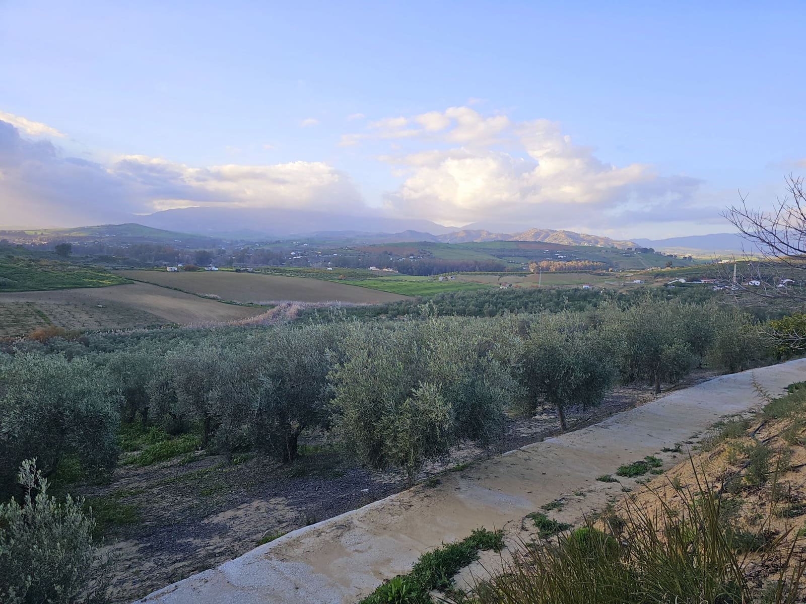 4 sovrum Finca/Hus på landet till salu i Cartama - 1 100 000 € (Ref: 8736543)