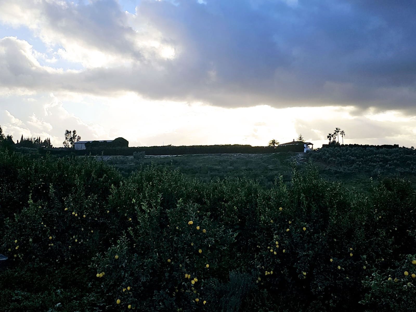 4 sovrum Finca/Hus på landet till salu i Cartama - 1 100 000 € (Ref: 8736543)