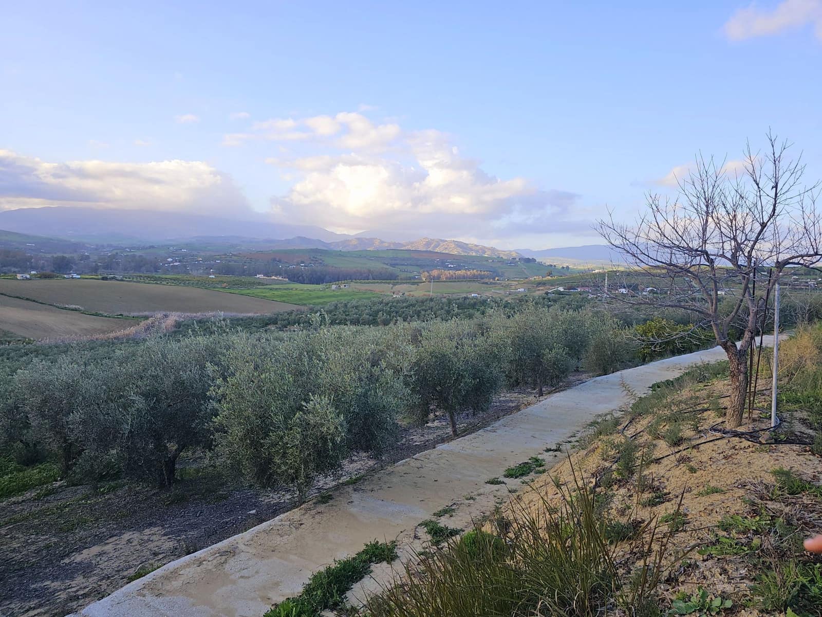 4 sovrum Finca/Hus på landet till salu i Cartama - 1 100 000 € (Ref: 8736543)