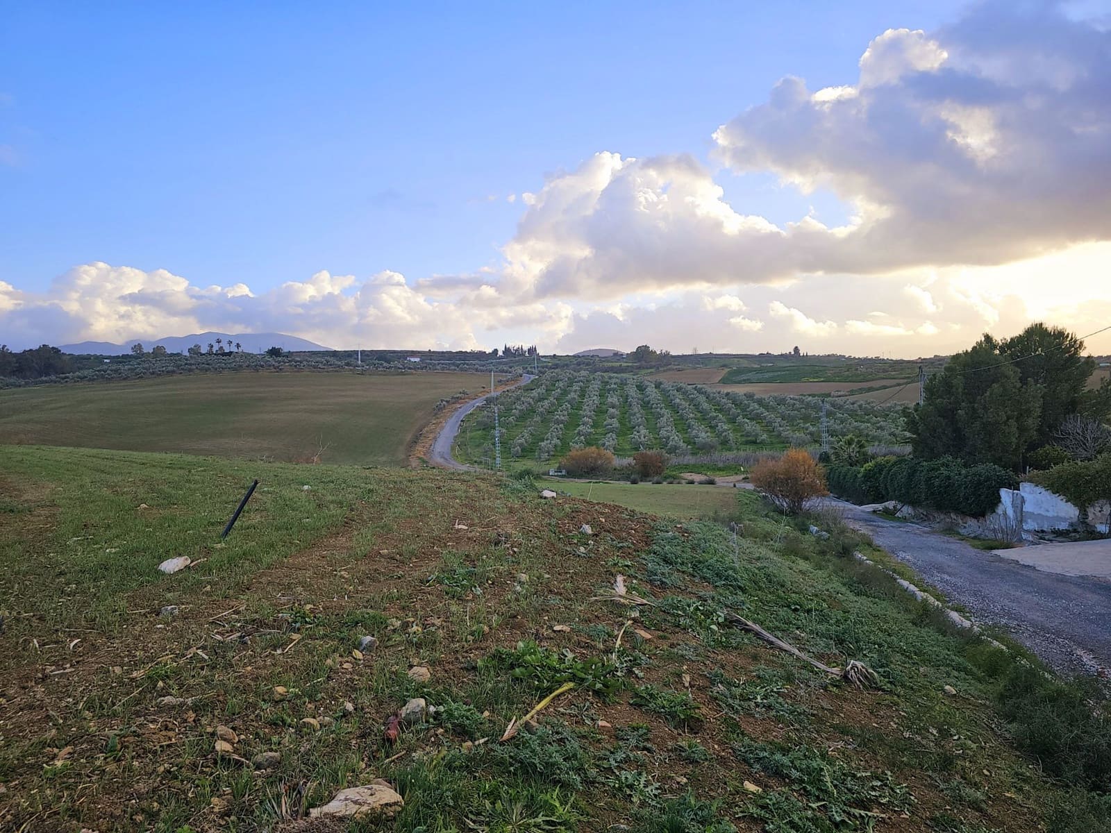 4 sovrum Finca/Hus på landet till salu i Cartama - 1 100 000 € (Ref: 8736543)