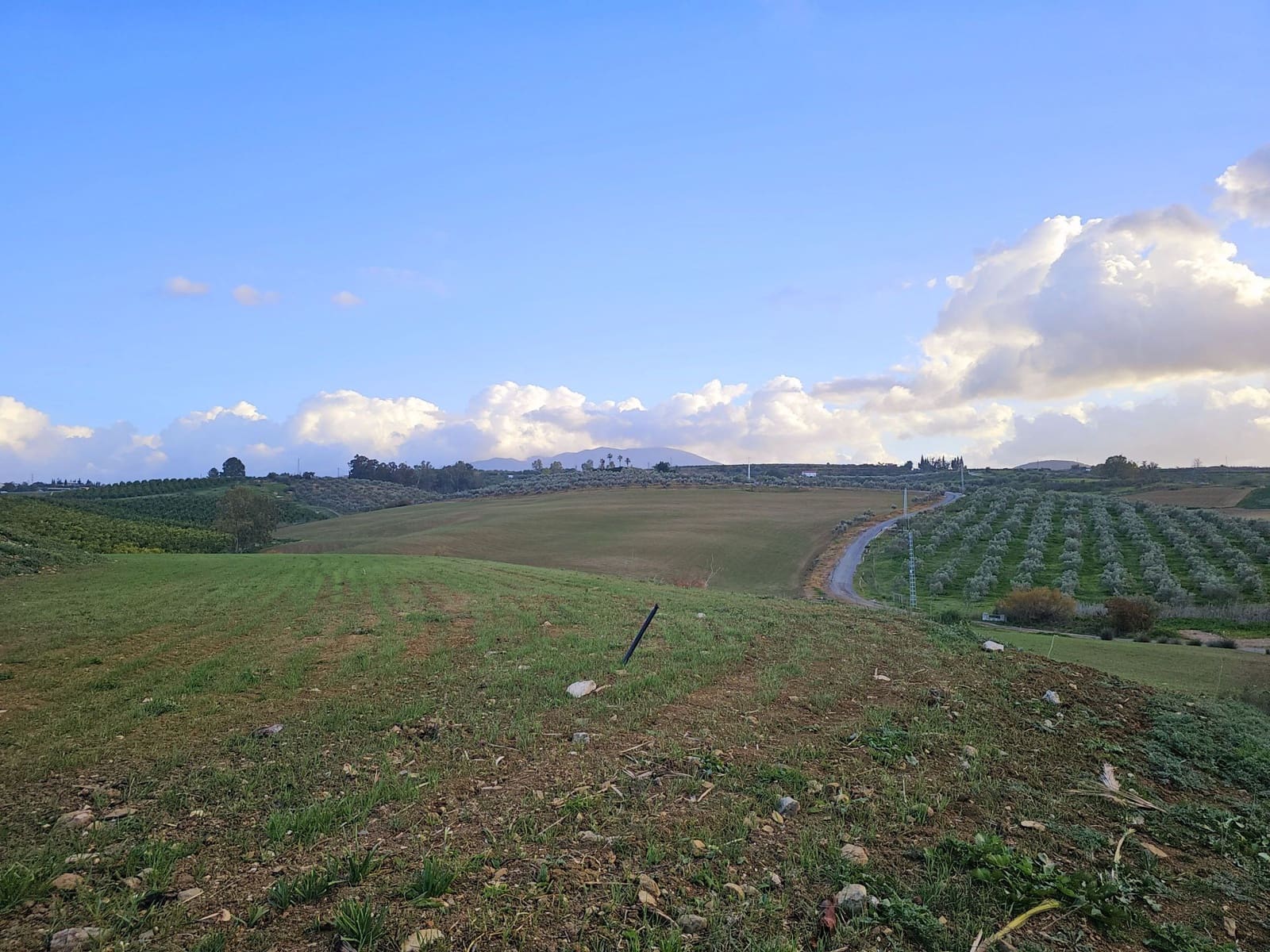 4 sovrum Finca/Hus på landet till salu i Cartama - 1 100 000 € (Ref: 8736543)