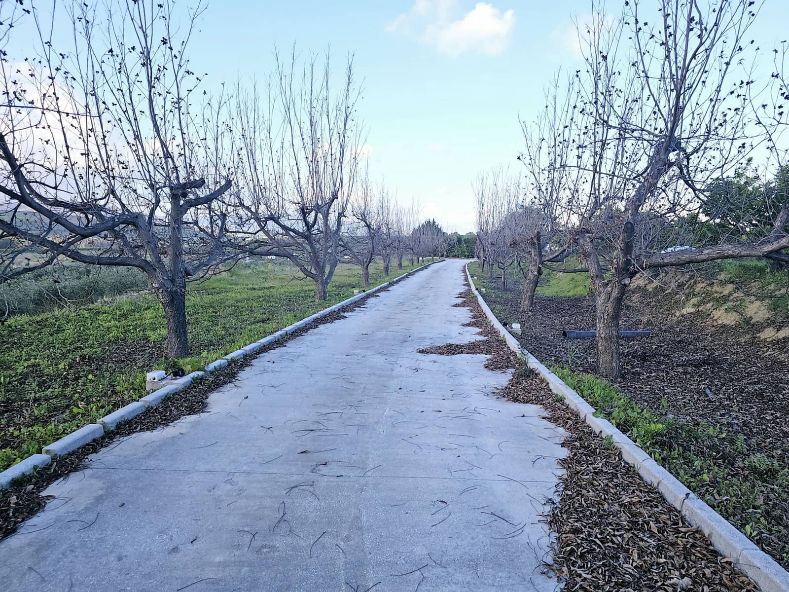 4 sovrum Finca/Hus på landet till salu i Cartama - 1 100 000 € (Ref: 8736543)