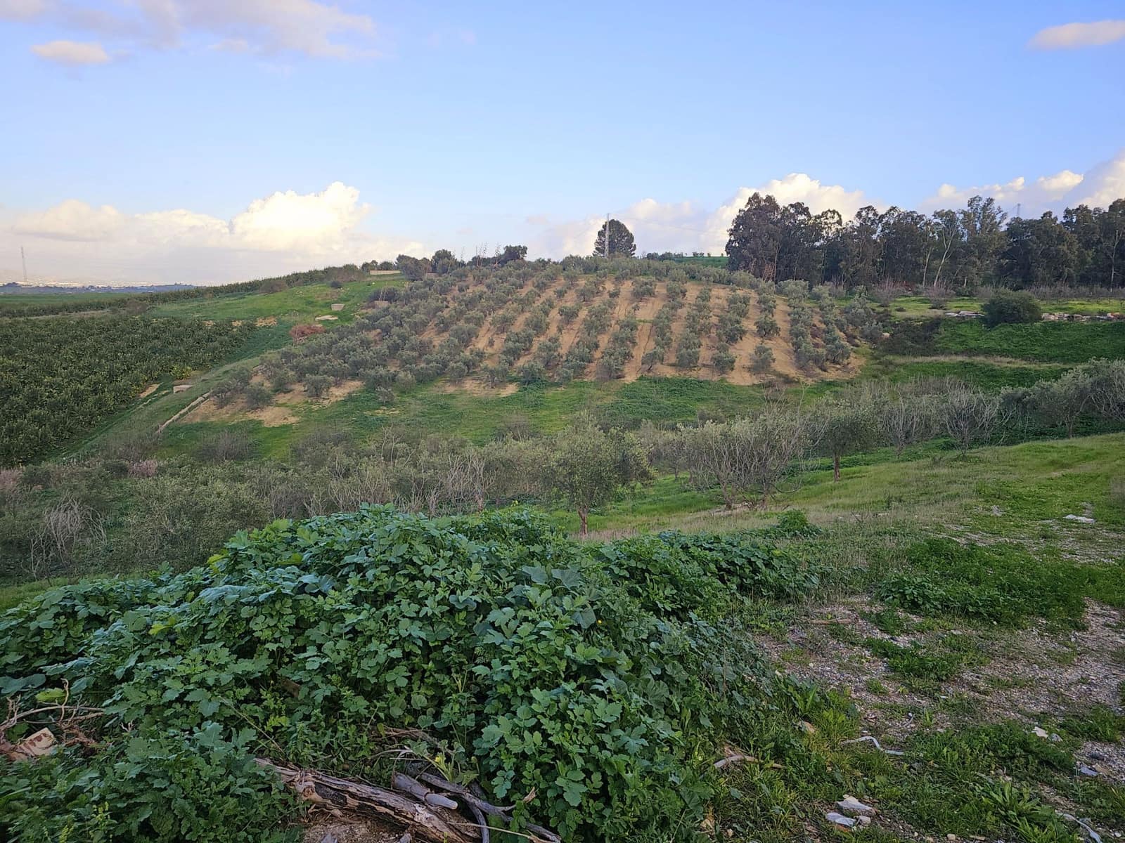 4 sovrum Finca/Hus på landet till salu i Cartama - 1 100 000 € (Ref: 8736543)
