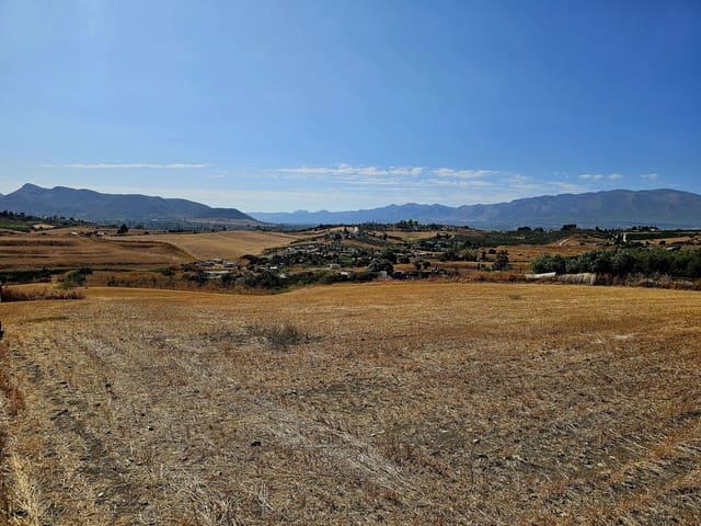 Finca/Herregård til salgs i Alhaurín el Grande - € 950 000 (Ref: 9163152)