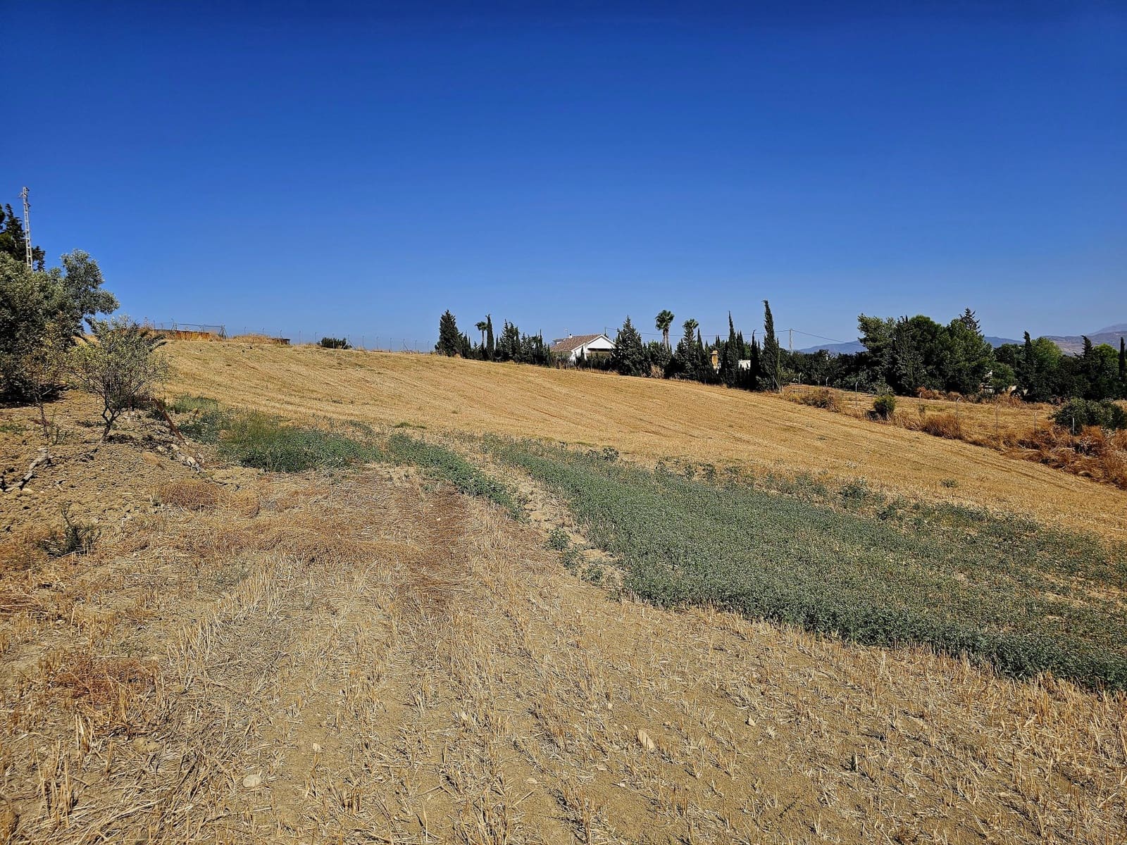 Finca/Herregård til salgs i Alhaurin el Grande - € 950 000 (Ref: 9163152)