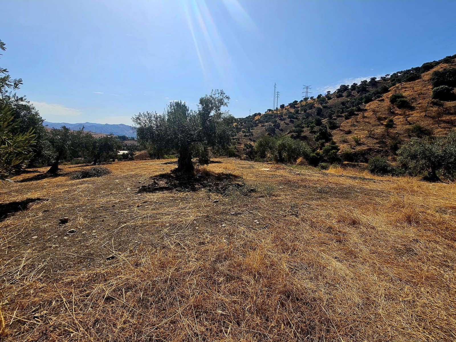 3 soverom Finca/Herregård til salgs i Alora - € 250 000 (Ref: 9271782)