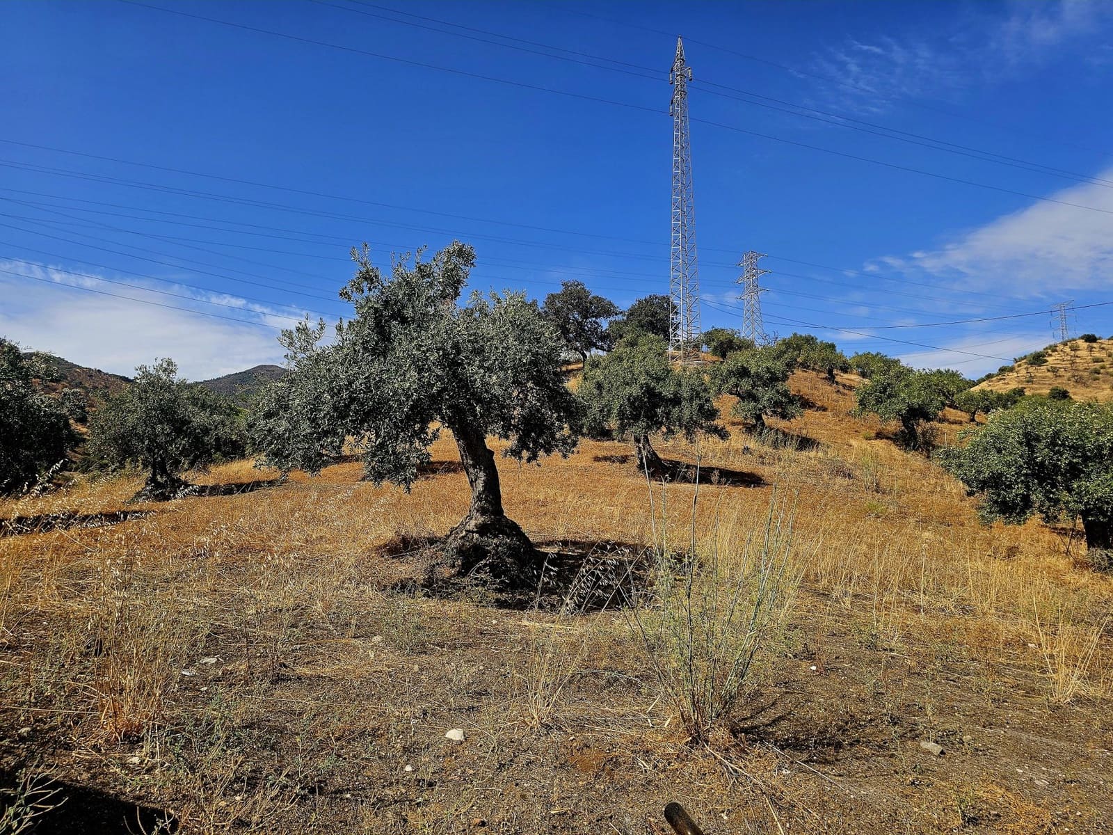 3 soverom Finca/Herregård til salgs i Alora - € 250 000 (Ref: 9271782)