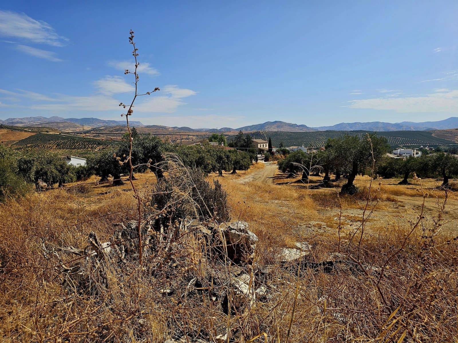 3 soverom Finca/Herregård til salgs i Alora - € 250 000 (Ref: 9271782)