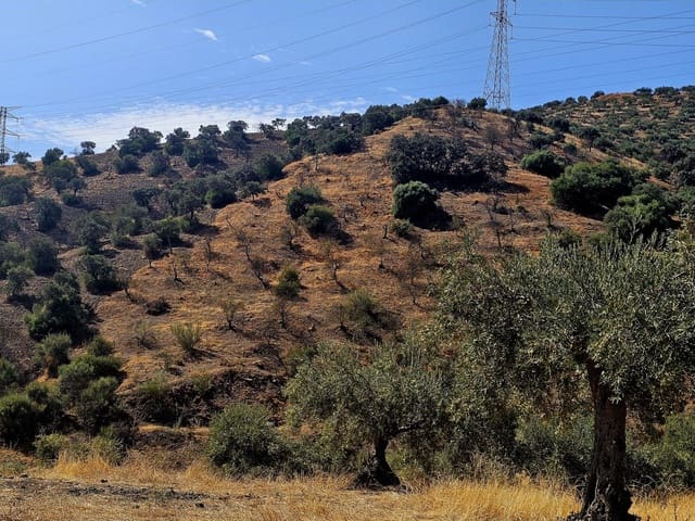 3 Zimmer Finca/Landgut zu verkaufen in Alora - 250.000 € (Ref: 9271782)