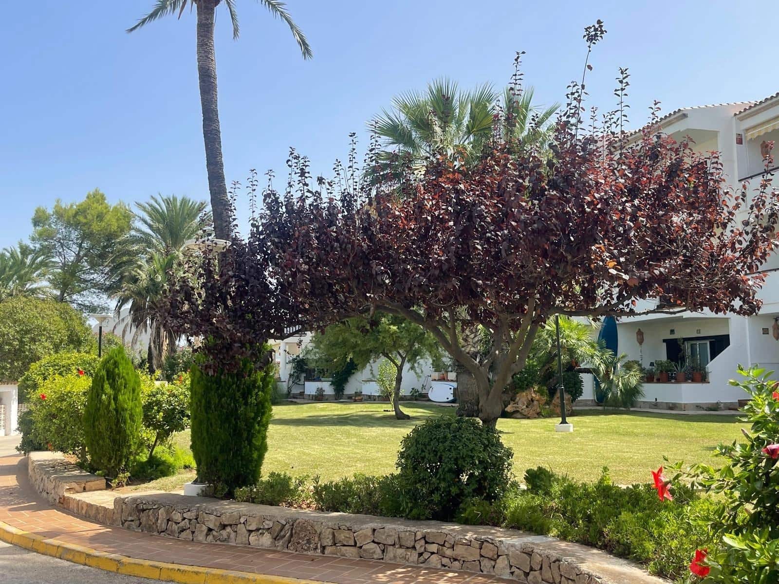 3 soverom Rekkehus til salgs i Denia med svømmebasseng - € 480 000 (Ref: 10041257)
