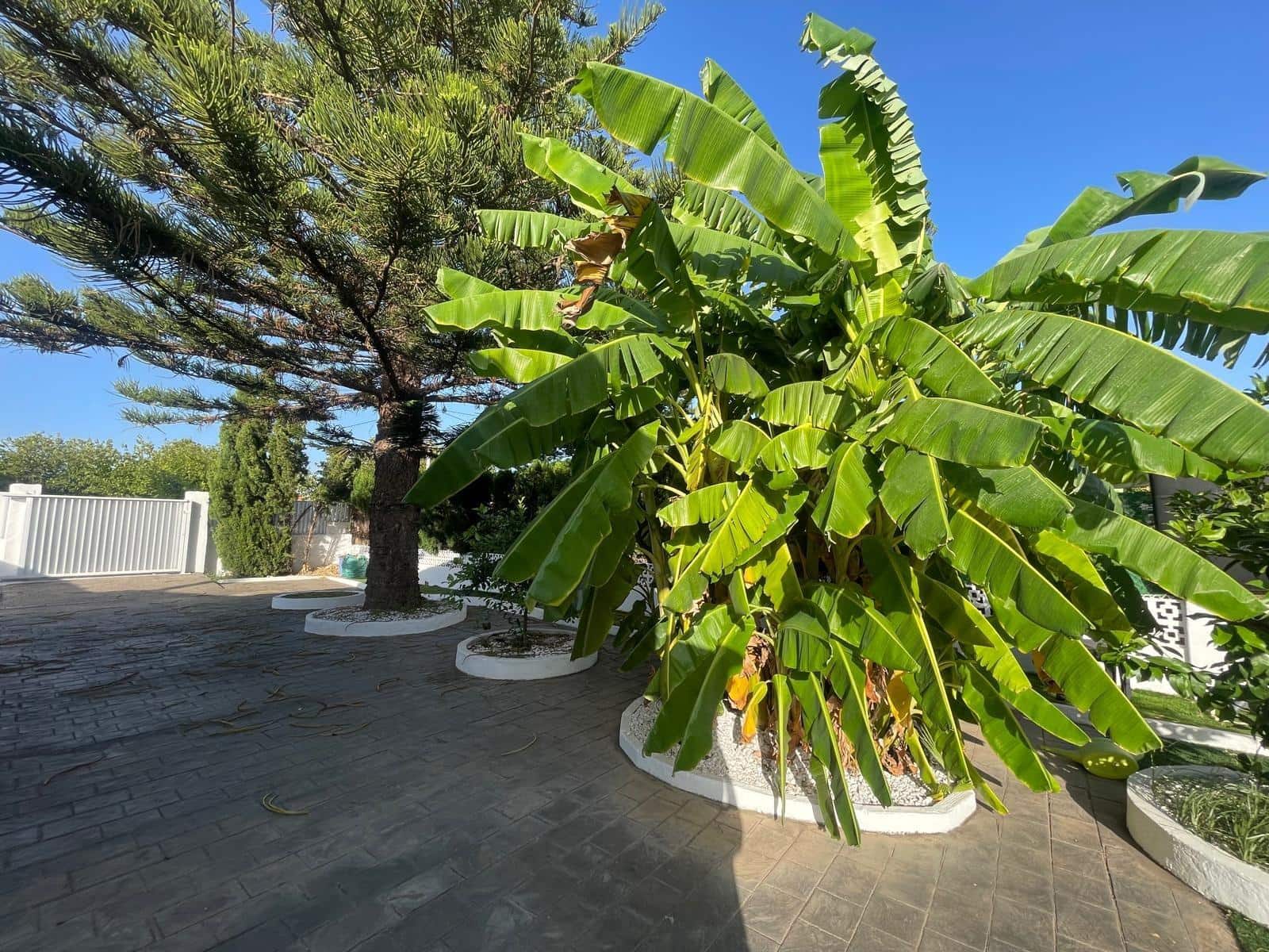 2 soveværelse Villa til leje i Denia med swimmingpool garage - € 1.950 (Ref: 10059303)