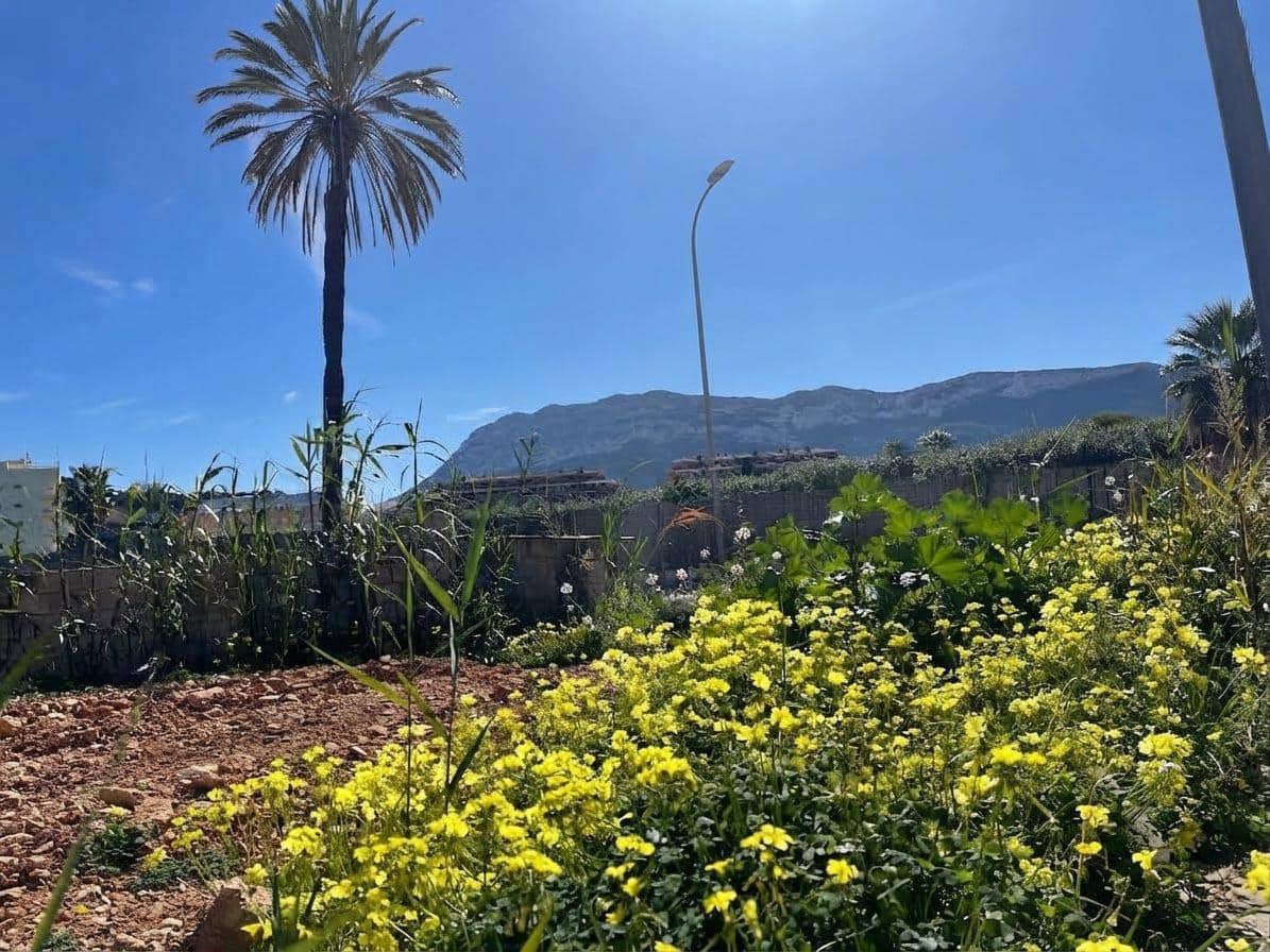 2 quarto Apartamento para venda em Denia com piscina - 355 000 € (Ref: 10089604)