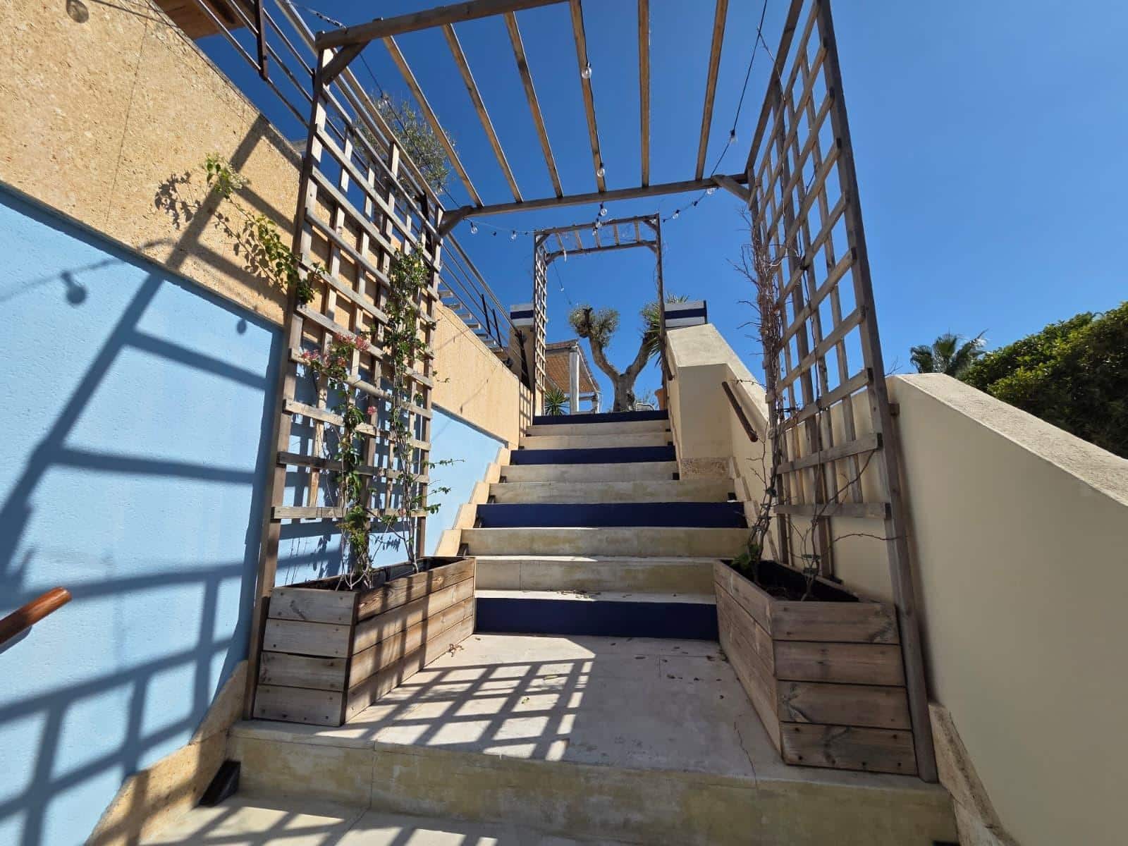 Business for rent in Denia - € 6,000 (Ref: 10129356)