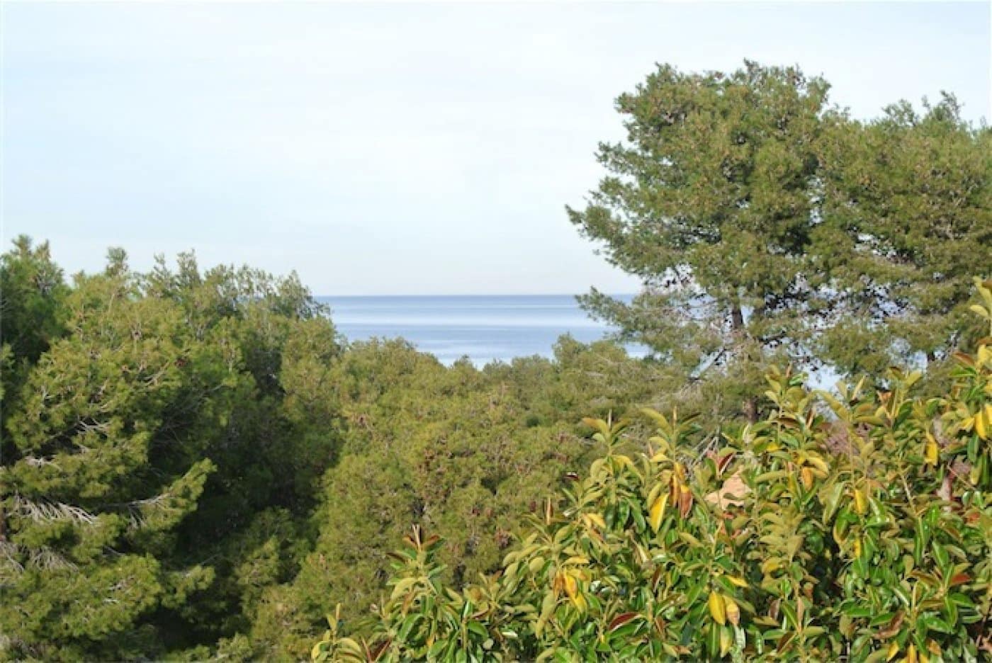 6 chambre Villa/Maison à vendre à Denia avec piscine garage - 1 060 000 € (Ref: 6187445)