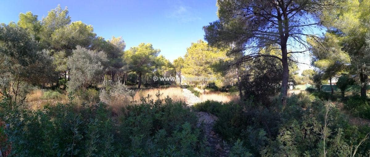 Terrain à Bâtir à vendre à Denia - 915 000 € (Ref: 6187465)