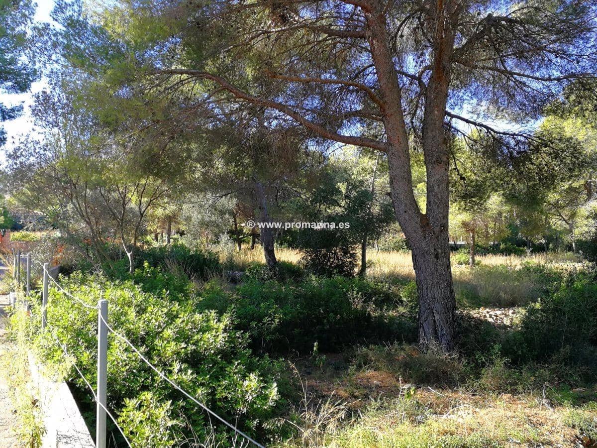 Terrain à Bâtir à vendre à Denia - 915 000 € (Ref: 6187465)