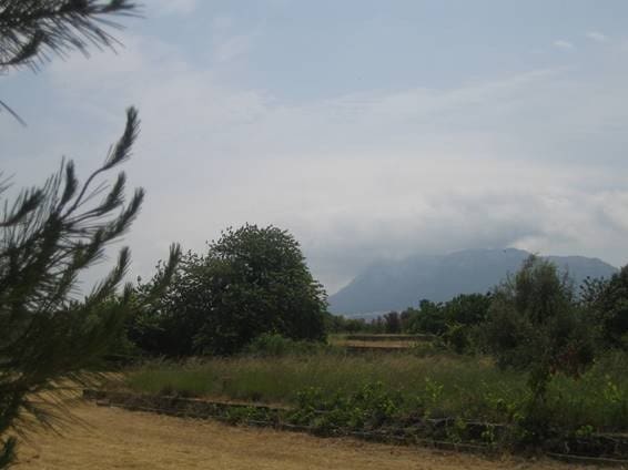 Building Plot for sale in Denia - € 318,000 (Ref: 7080516)