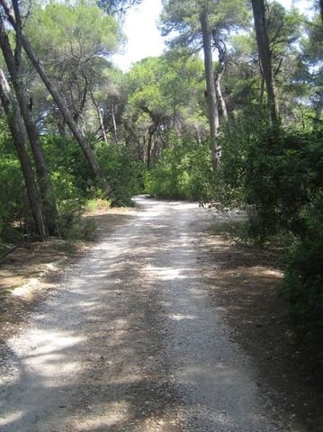 Tomt till salu i Dénia - 318 000 € (Ref: 7080516)