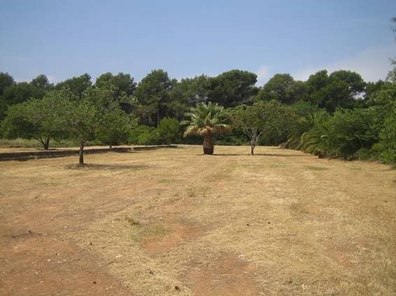 Bouwgrond te koop in Dénia - € 318.000 (Ref: 7080516)