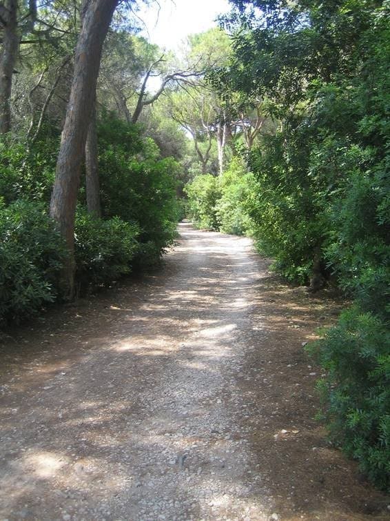 Byggegrund til salg i Denia - € 318.000 (Ref: 7080516)