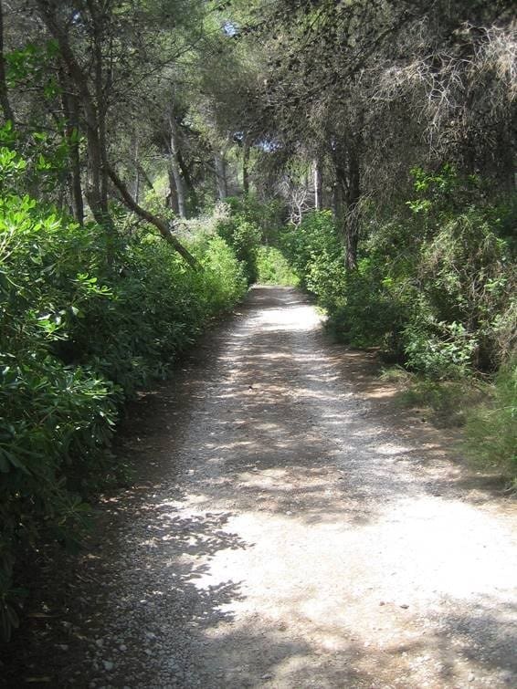 Byggegrund til salg i Denia - € 318.000 (Ref: 7080516)