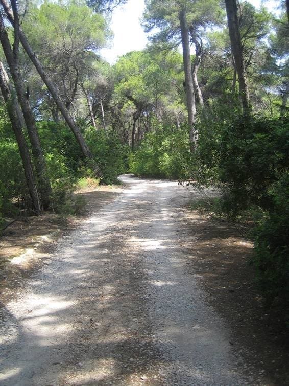 Byggegrund til salg i Denia - € 318.000 (Ref: 7080516)
