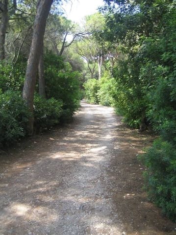 Bouwgrond te koop in Dénia - € 318.000 (Ref: 7080516)