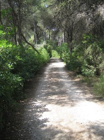 Bouwgrond te koop in Dénia - € 318.000 (Ref: 7080516)