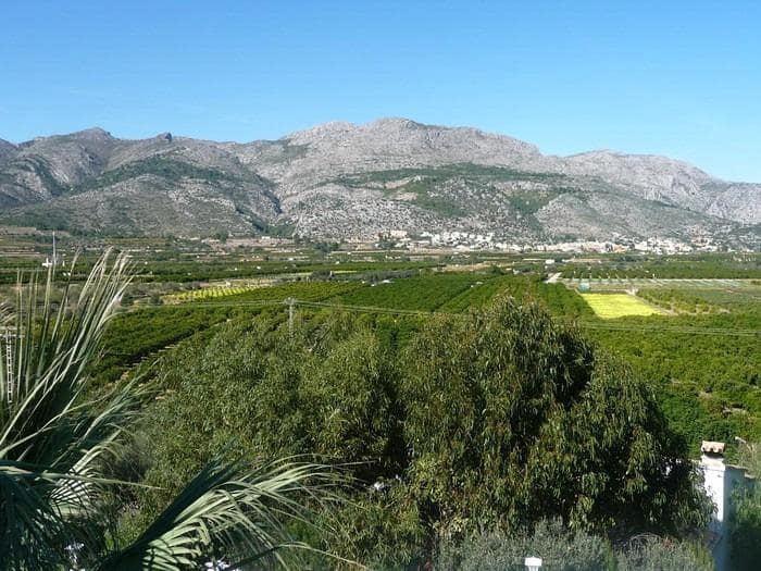 Building Plot for sale in Orba - € 150,000 (Ref: 7617551)