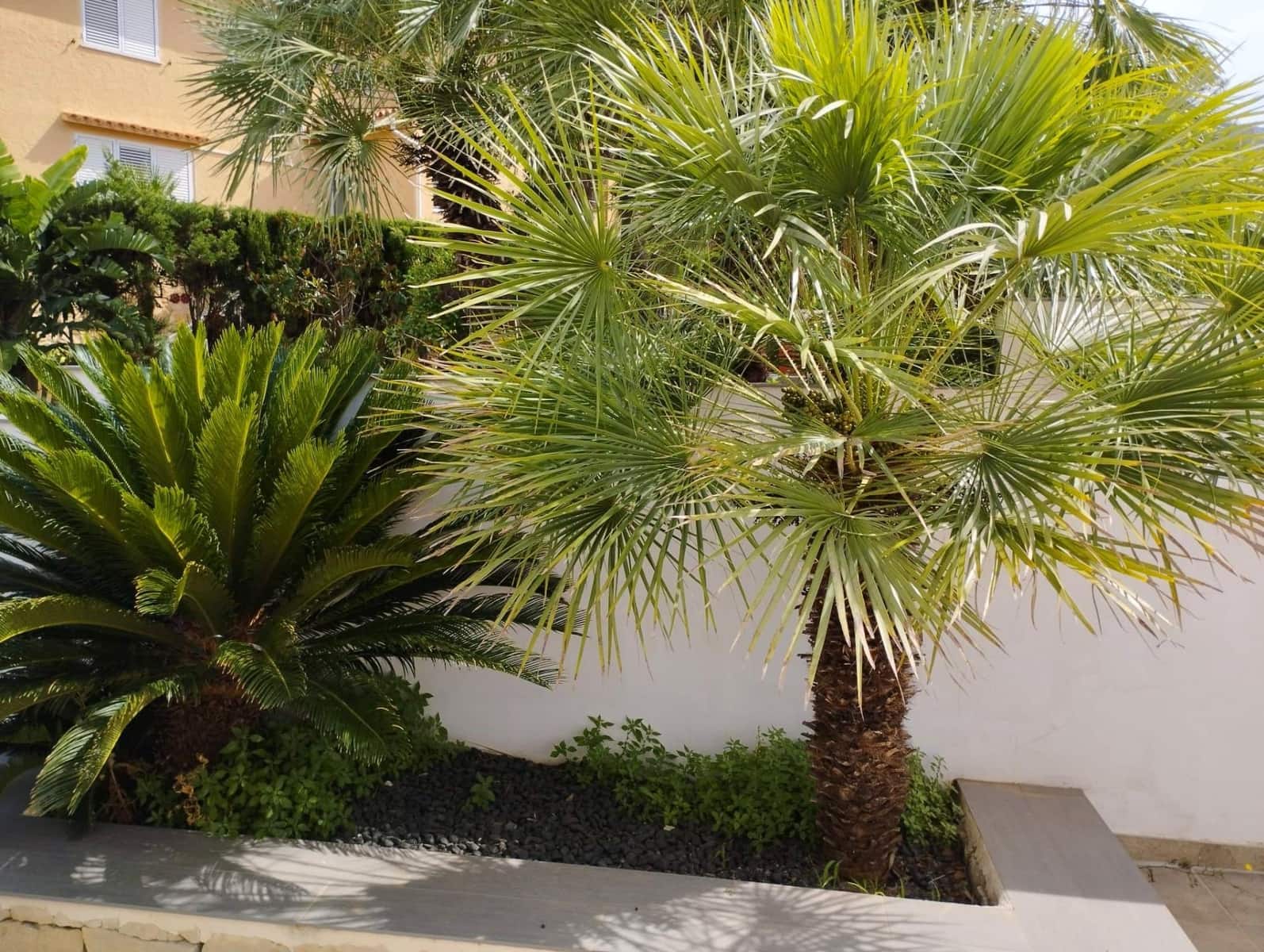 4 bedroom Villa for sale in Denia with pool garage - € 650,000 (Ref: 7640919)