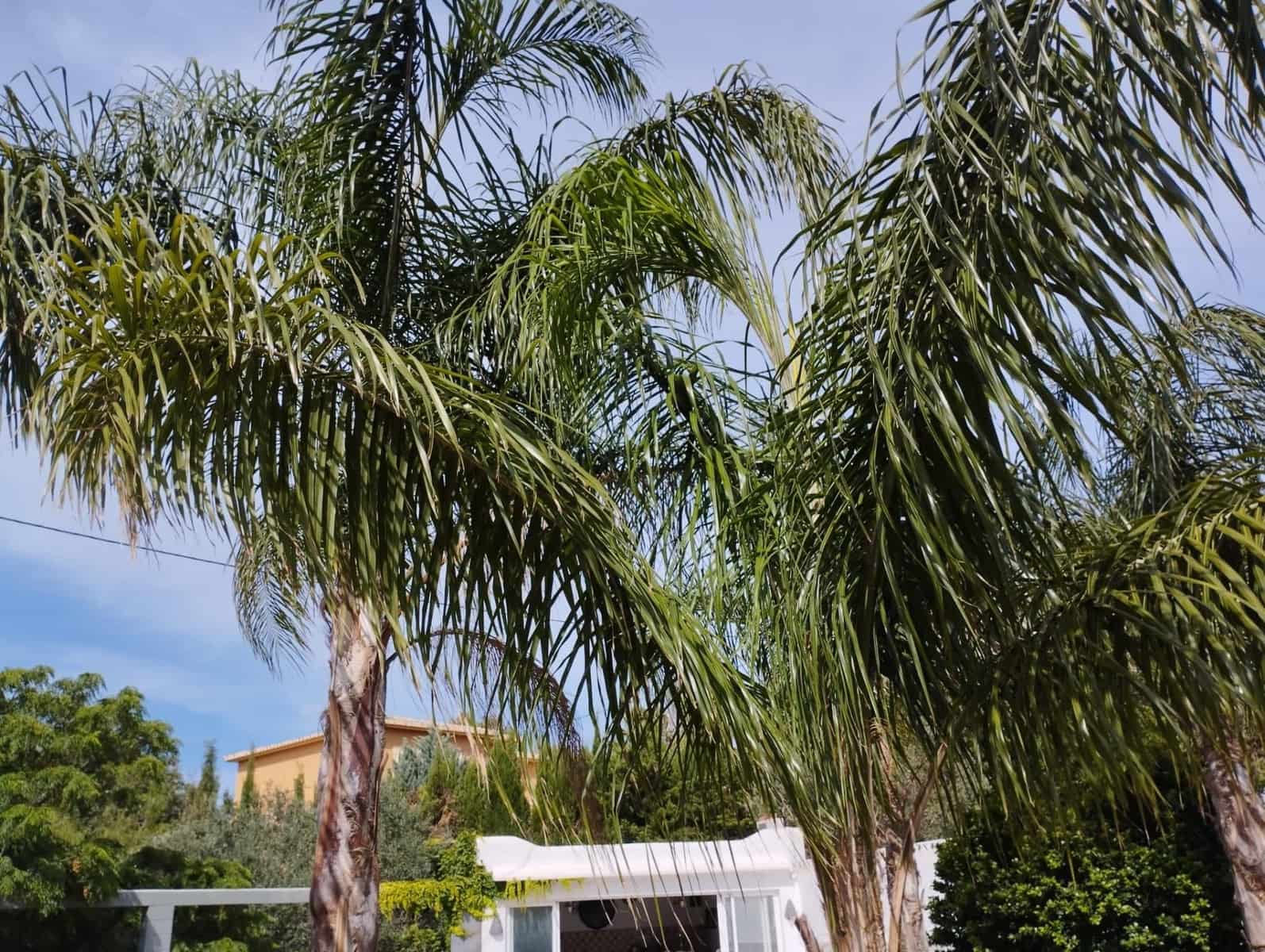 4 bedroom Villa for sale in Denia with pool garage - € 650,000 (Ref: 7640919)