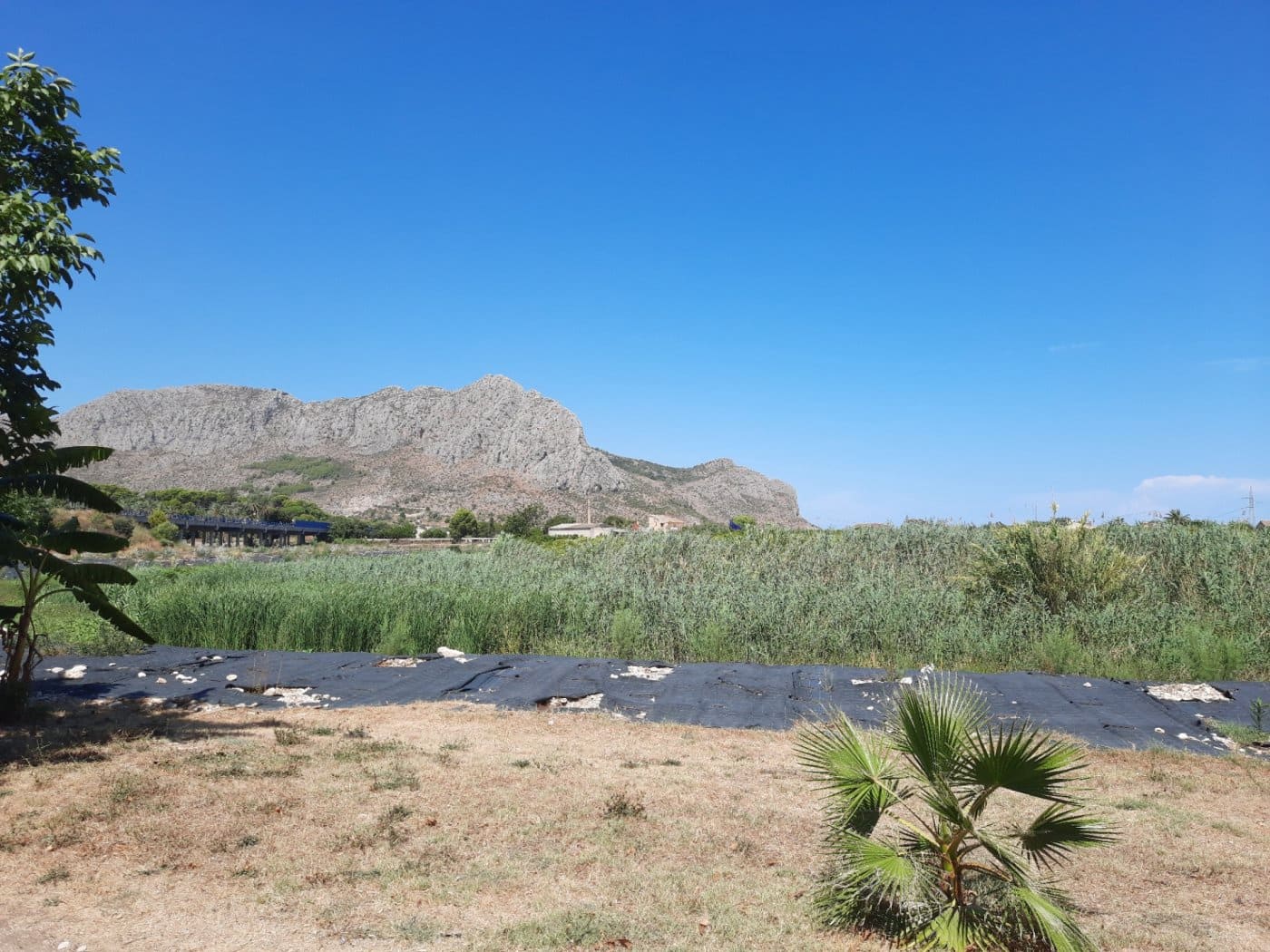 15 soveværelse Finca/Landehus til salg i Ondara med swimmingpool - € 850.000 (Ref: 7811746)