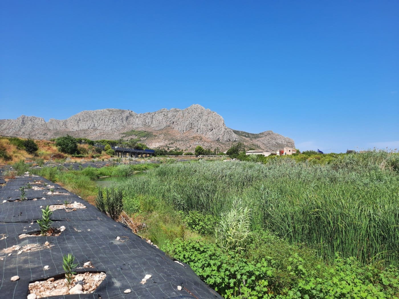 15 soveværelse Finca/Landehus til salg i Ondara med swimmingpool - € 850.000 (Ref: 7811746)