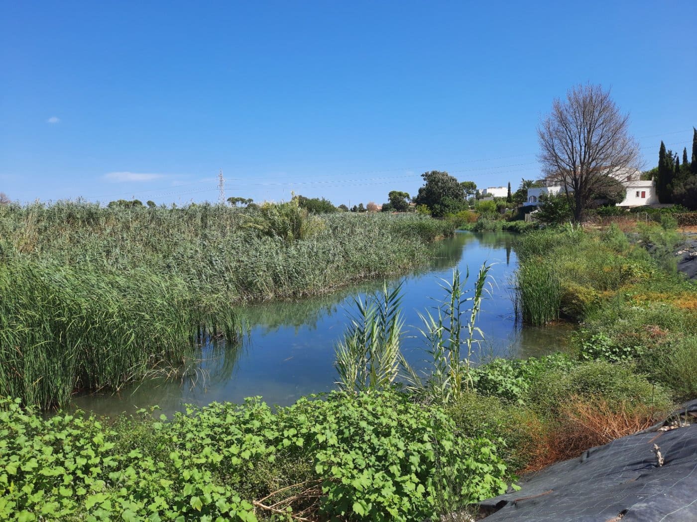 15 soveværelse Finca/Landehus til salg i Ondara med swimmingpool - € 850.000 (Ref: 7811746)