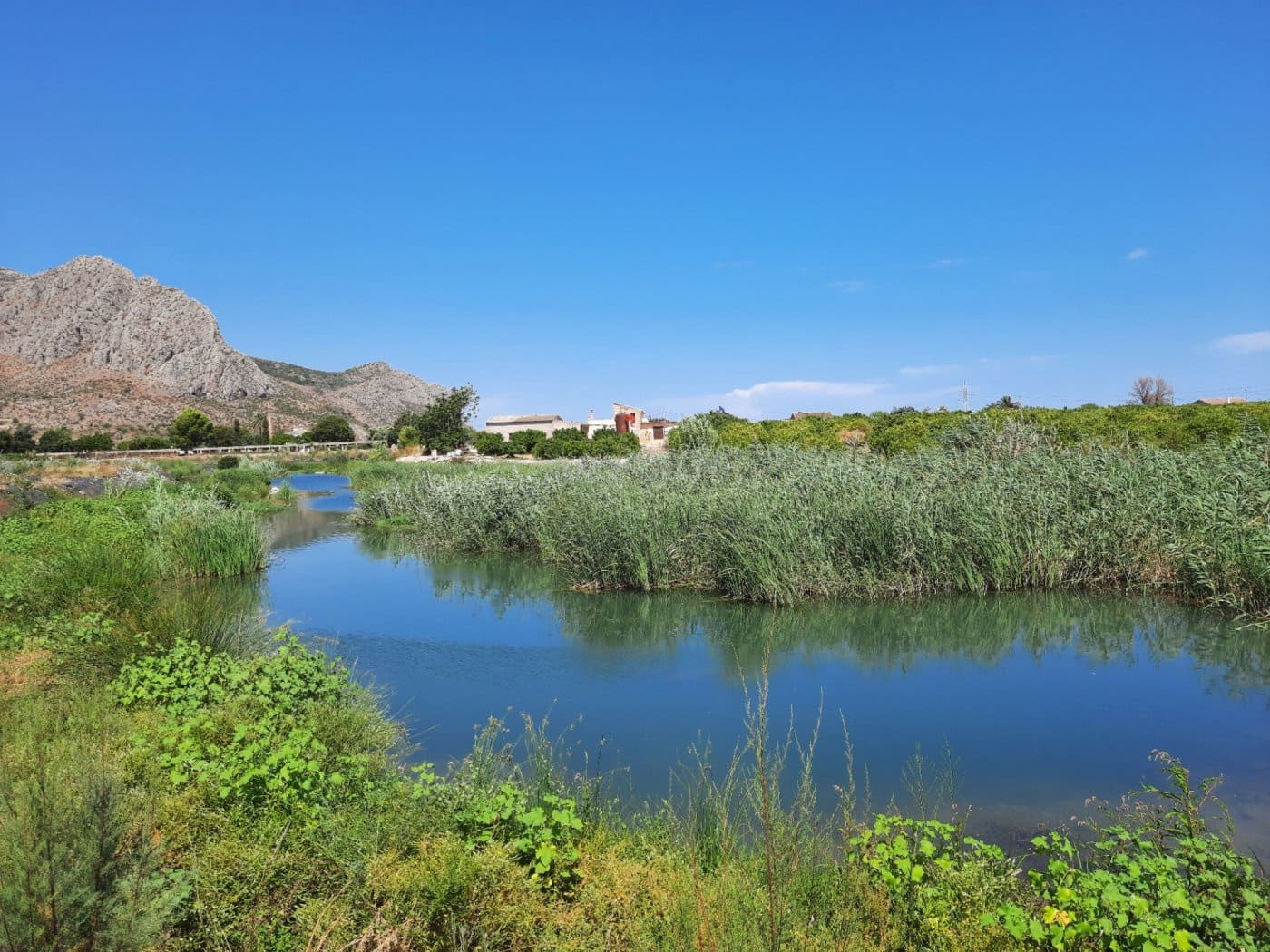 15 soveværelse Finca/Landehus til salg i Ondara med swimmingpool - € 850.000 (Ref: 7811746)