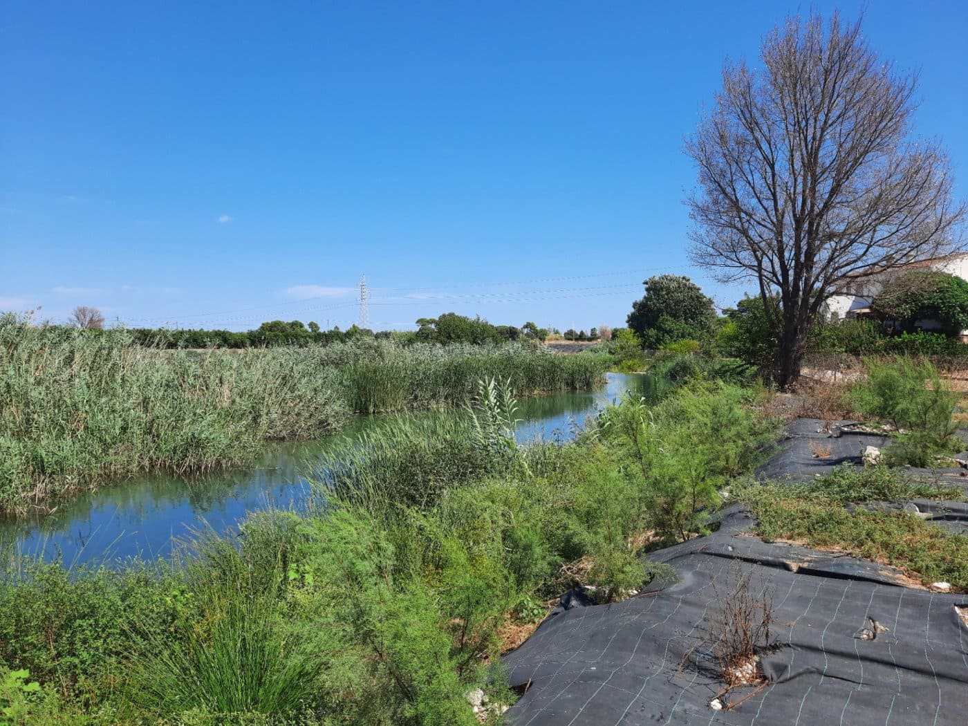 15 soveværelse Finca/Landehus til salg i Ondara med swimmingpool - € 850.000 (Ref: 7811746)