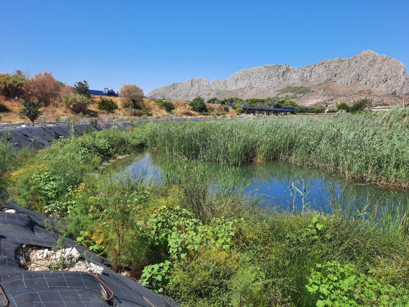 15 soveværelse Finca/Landehus til salg i Ondara med swimmingpool - € 850.000 (Ref: 7811746)