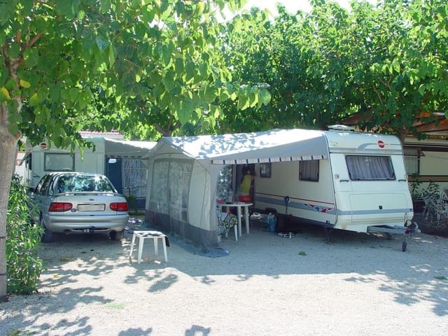 Business for sale in Pinedo, Valencia city - € 6,900,000 (Ref: 8310333)