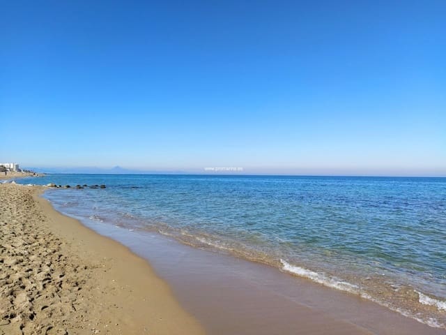 Business for sale in Pinedo, Valencia city - € 6,900,000 (Ref: 8310333)