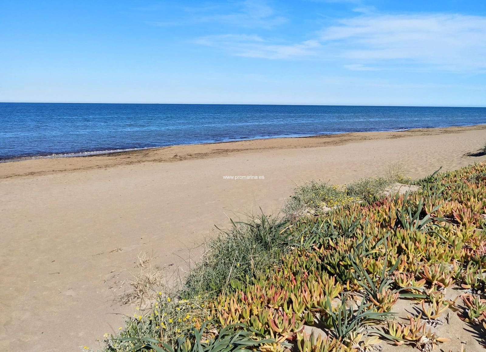 Virksomhed til salg i Pinedo - € 6.900.000 (Ref: 8310333)