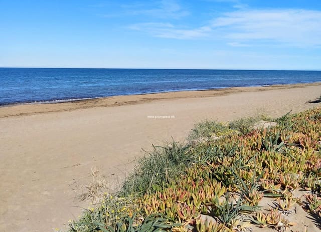 Business for sale in Pinedo, Valencia city - € 6,900,000 (Ref: 8310333)