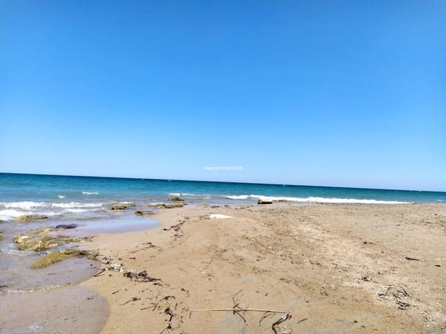 Business for sale in Pinedo, Valencia city - € 6,900,000 (Ref: 8310333)