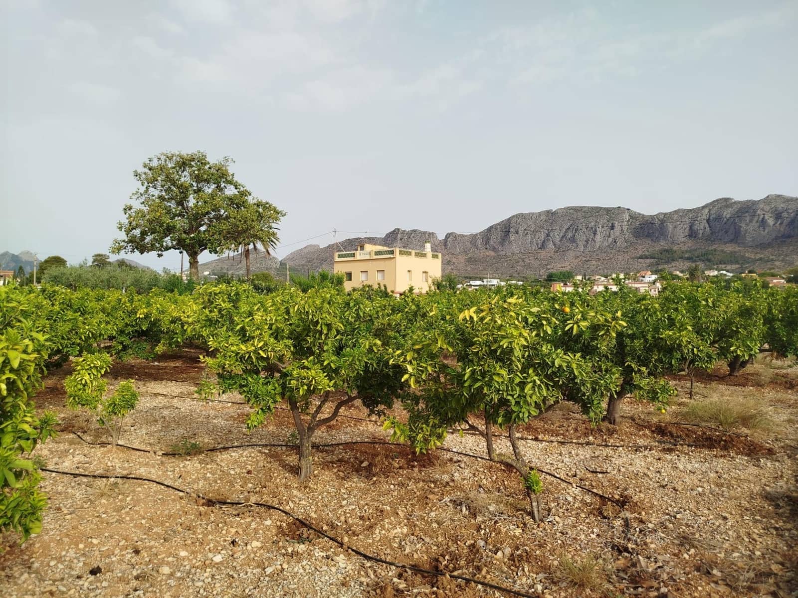 4 soveværelse Finca/Landehus til salg i Ondara - € 599.900 (Ref: 8373627)