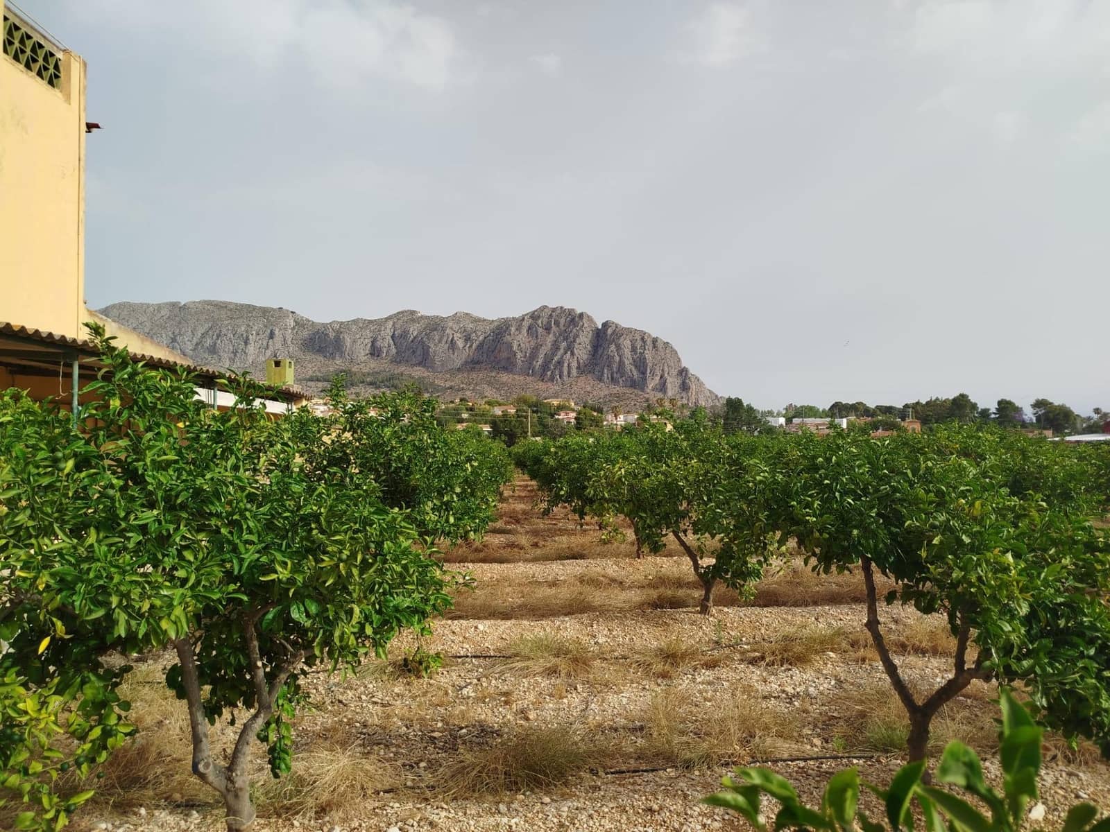 4 soveværelse Finca/Landehus til salg i Ondara - € 599.900 (Ref: 8373627)