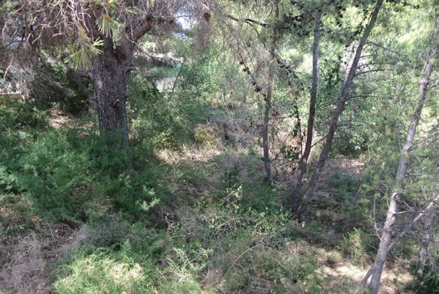 4 soveværelse Villa til salg i Denia med swimmingpool - € 2.200.000 (Ref: 8377540)