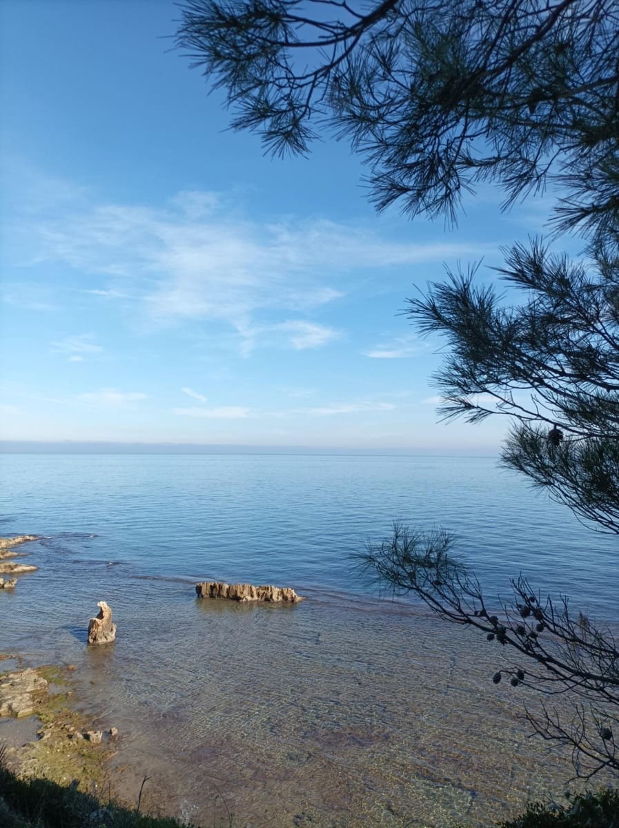 Kaupallinen vuokrattavana paikassa Denia - 1 800 € (Ref: 8438685)